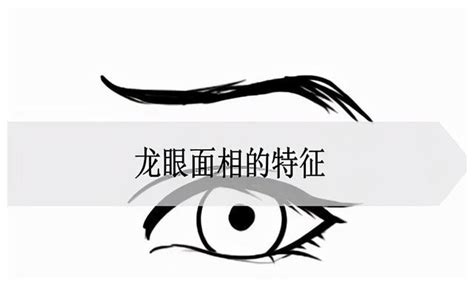 龍眼面相男|龙眼面相图解